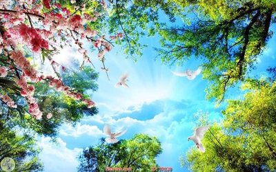 File tranh File psd trần 3d TR130 (ảnh gốc) chi tiết rõ ràng