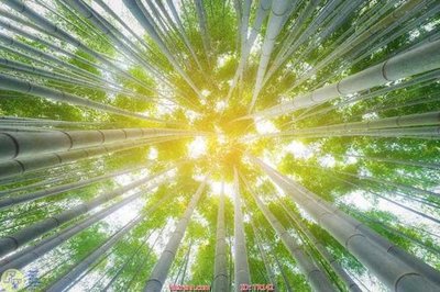 File PSD File psd trần 3d TR142 (bản gốc) dễ dàng edit