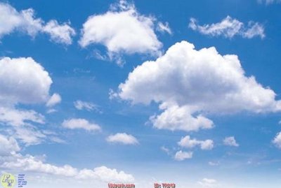 File ảnh File psd trần 3d TR143 (gốc) in PP, decal