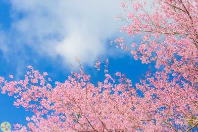 Tải về file gốc File psd trần 3d TR145 (chuẩn in ấn)