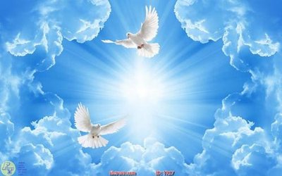 File in ấn File psd trần 3d TR17 (bản gốc) sắc nét