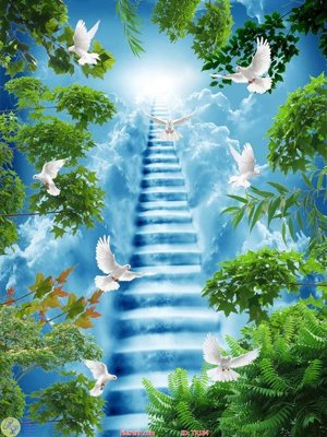 File in mica File psd trần 3d TR184 (bản gốc) làm vách ngăn