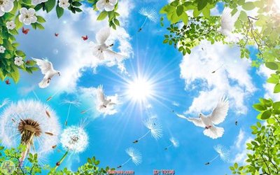 Tải file File psd trần 3d TR196 (ảnh gốc) 300dpi File psd trần 3d TR196