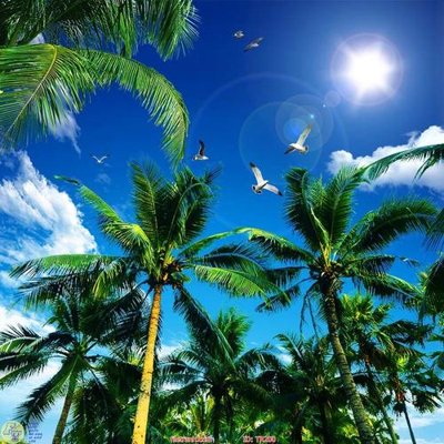 Tải file File psd trần 3d TR200 (gốc) in ấn ngay lập tức