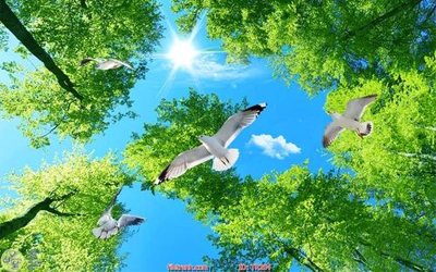 File tranh File psd trần 3d TR204 (gốc) phong cách tối giản