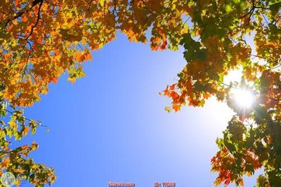 File gốc File psd trần 3d TR208 (thiết kế) độc quyền