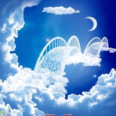 File tranh gốc File psd trần 3d TR209 (bản quyền) file PSD