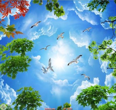 Tải file gốc File psd trần 3d TR222 (in khổ lớn) không mờ