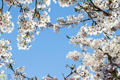 Tải về file gốc File psd trần 3d TR224 (chuẩn in ấn)