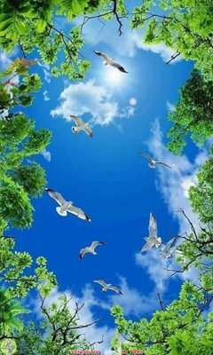 File gốc File psd trần 3d TR226 (phong cách) cổ điển