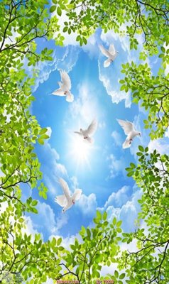 File in mica File psd trần 3d TR229 (bản gốc) siêu trong