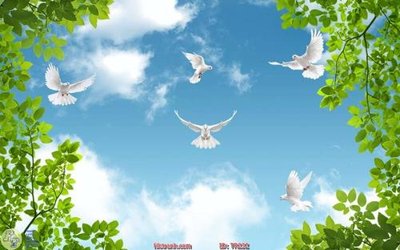 Download file gốc File psd trần 3d TR232 (in lụa) cao cấp