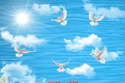 Tệp tin gốc File psd trần 3d TR235 (chất lượng cao) File psd trần 3d TR235