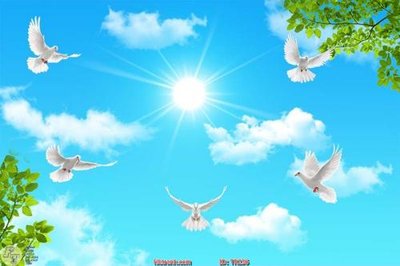 File PSD File psd trần 3d TR236 (bản gốc) cho nhà in