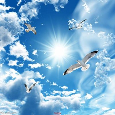 File gốc File psd trần 3d TR329 (in lụa) họa tiết 3D