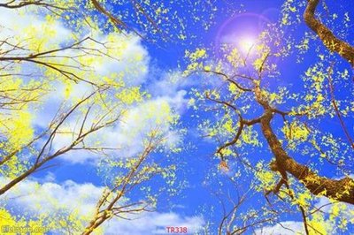 File gốc File psd trần 3d TR338 (dành cho trang trí nội thất)