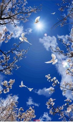 Tải về hình ảnh gốc File psd trần 3d TR356 sắc nét