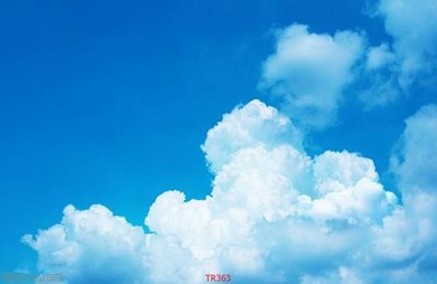 Tải file gốc File psd trần 3d TR363 (in tráng gương) siêu đẹpFile tranh gốc File psd trần 3d TR363 chất lượng cao