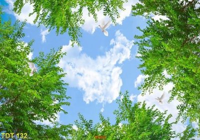 Chi tiết file gốc File psd trần 3d TR382 (cho in tráng gương)