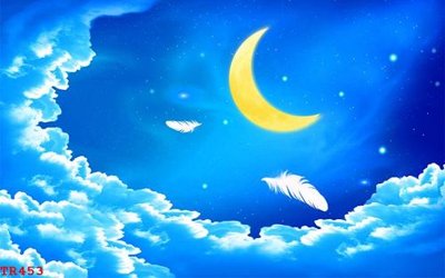 Hình ảnh gốc File tranh trần mây 3d TR453 (để in khổ lớn)