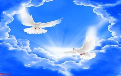 File tranh quảng cáo File tranh trần mây 3d TR488 (download file gốc)