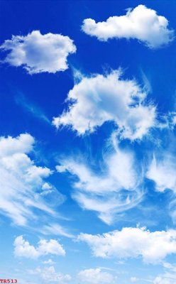 File in trần File tranh trần mây 3d TR513 (bản gốc 3D) sống động