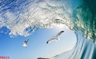 Download file gốc File tranh trần mây 3d TR521 (in mica) trong suốt