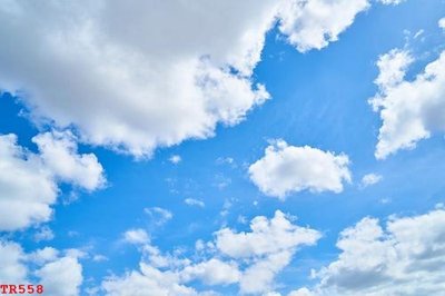 File tranh File tranh trần mây 3d TR558 (gốc) chủ đề động vật