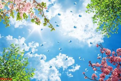 File tranh File tranh trần mây 3d TR604 (gốc) chủ đề động vật