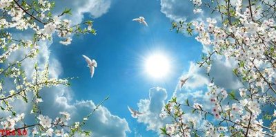 File tranh PSD File tranh trần mây 3d TR630 chất lượng cao