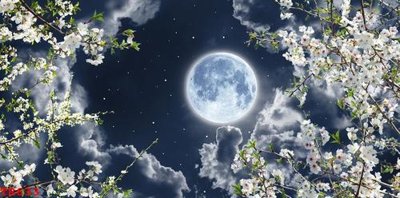 File in trần File tranh trần mây 3d TR633 (file gốc) hoa văn 3D