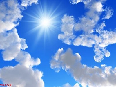 File in lụa File tranh trần mây 3d TR659 (hoa văn) File tranh trần mây 3d TR659