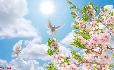 File tranh File tranh trần mây 3d TR664 (bản gốc) in lụa 3D