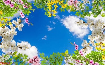 File gốc File tranh trần mây 3d TR665 (thiết kế) cho in ấn