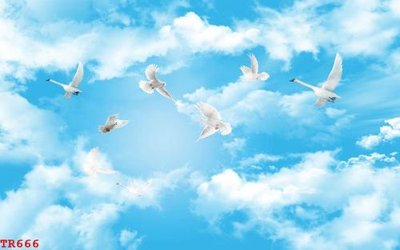 File gốc File tranh trần mây 3d TR666 (trang trí) phòng ngủ