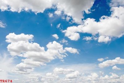 File tranh File tranh trần mây 3d TR674 (bản gốc) in lụa dán tường