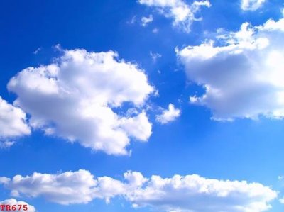 Mua file gốc File tranh trần mây 3d TR675 (chất lượng) tại Filetranh.com