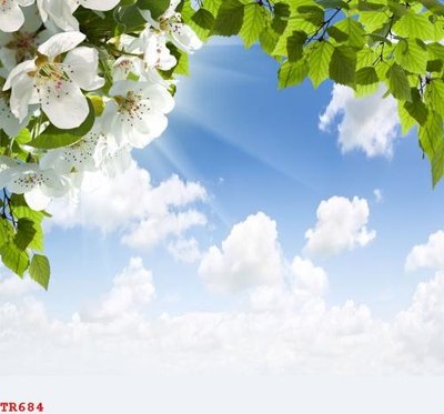 File ảnh File tranh trần mây 3d TR684 (gốc) in biển hiệu