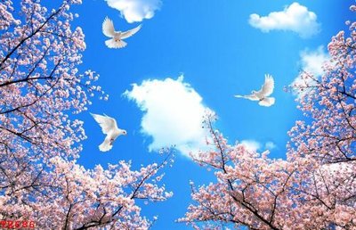 File tranh in mica File tranh trần mây 3d TR686 (độ phân giải cao)