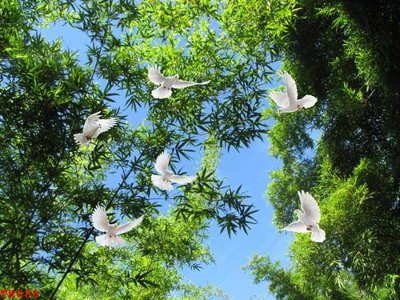 File gốc File tranh trần mây 3d TR688 (in lụa) họa tiết 3D