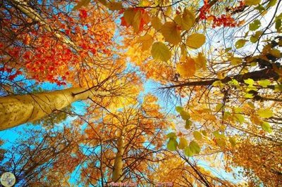 File in trần File psd trần 3d TR8 (file gốc) phong thủy