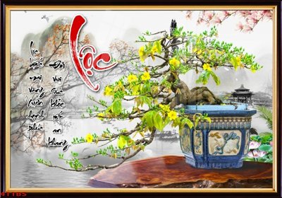 File in mica File tranh chậu mai bonsai 411BS (bản gốc) làm vách ngăn