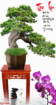 File tranh File tranh chậu mai bonsai 421BS (gốc) chủ đề thành phố