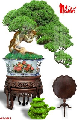 File gốc File tranh chậu mai bonsai 456BS (cho in ấn) độc quyền