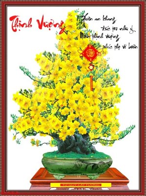 File PSD File tranh chậu mai bonsai 472BS (gốc) cho in quảng cáo