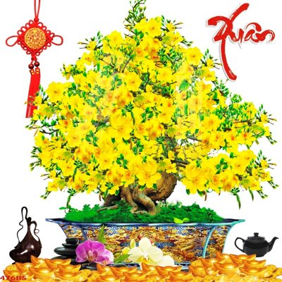 File gốc in mica File tranh chậu mai bonsai 476BS chất lượng