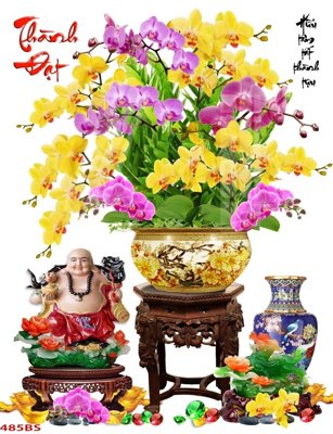 Download file File tranh chậu mai bonsai 485BS (gốc) in mica cao cấp