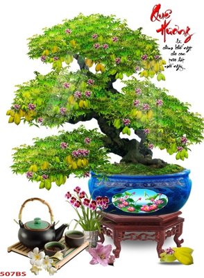 File tranh in tráng gương File tranh chậu mai bonsai 507BS (siêu nét)