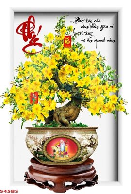 File tranh quảng cáo File tranh chậu mai bonsai 545BS (download file gốc)