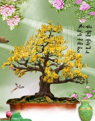 File tranh File tranh chậu mai bonsai 550BS (ảnh gốc) sắc nét hoàn hảo